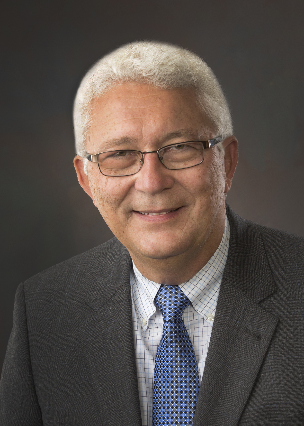 Joe Priselac, P&A Group CEO 
